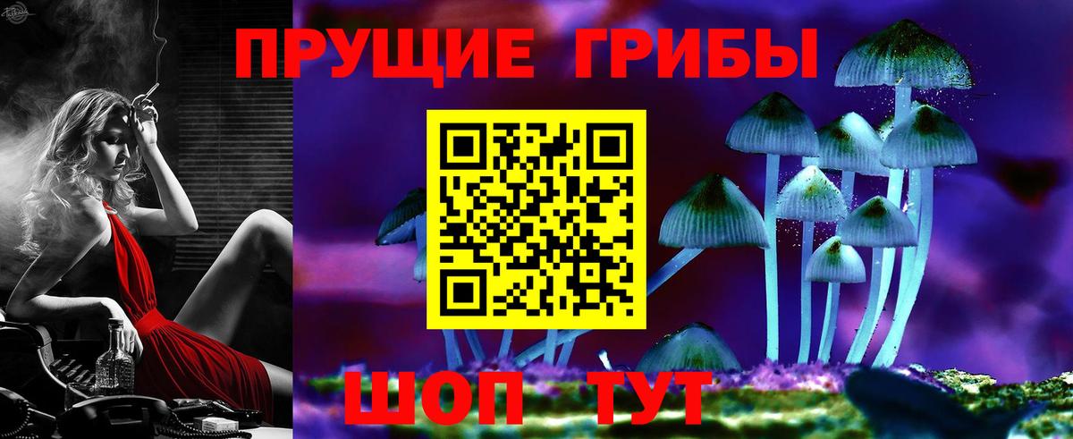 Псилоцибиновые грибы Psilocybe  Вход с VPN  закладка  Галлюциногенные грибы ЛСД  Ачинск 