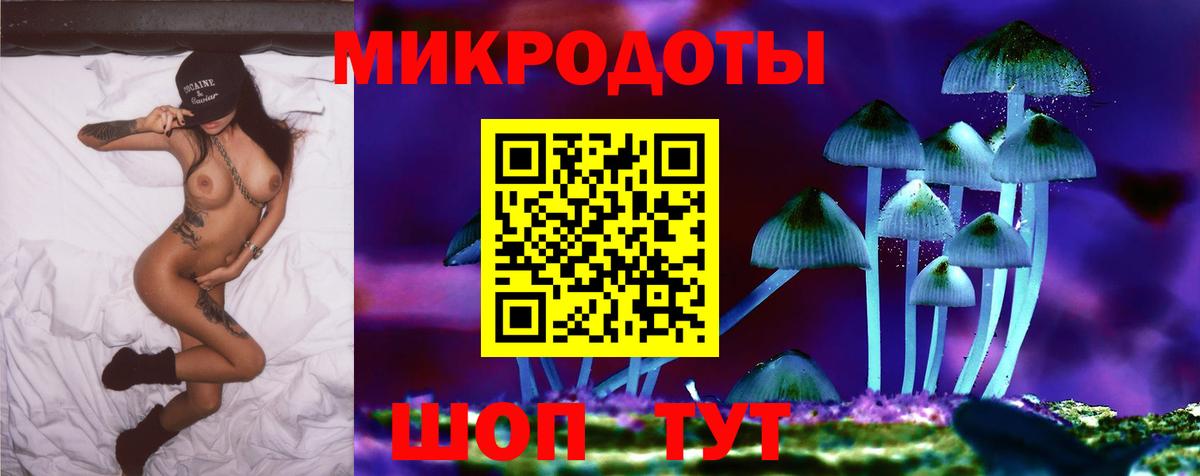Псилоцибиновые грибы прущие грибы Ачинск